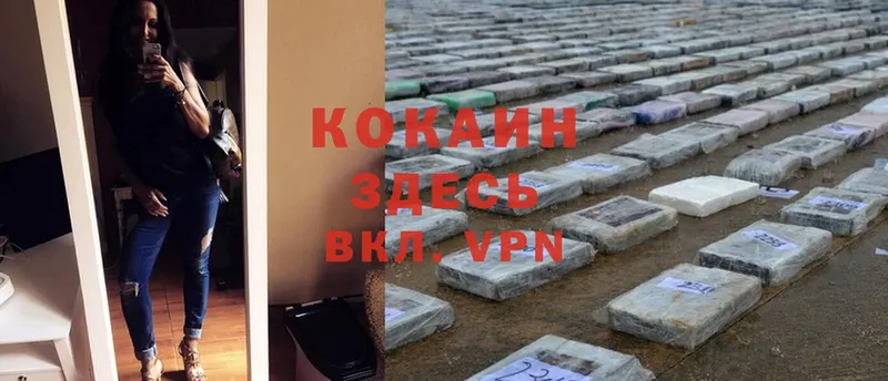 Cocaine FishScale  наркотики  Верхняя Пышма 